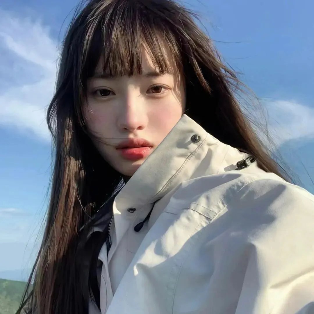 托托的色彩美学观
